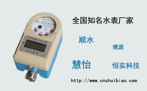 知名水表厂家